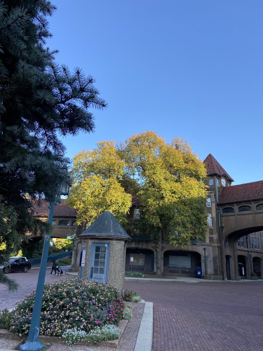 Autumn in Station Square, Forest Hills