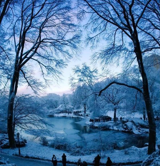 A snowy winter day in December.