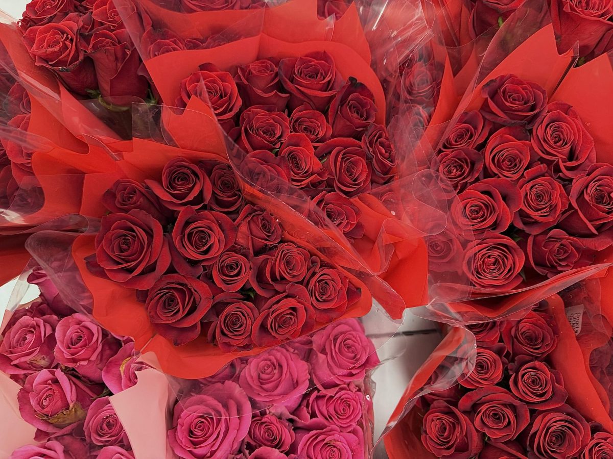“A Bouquet Full of Affection”
